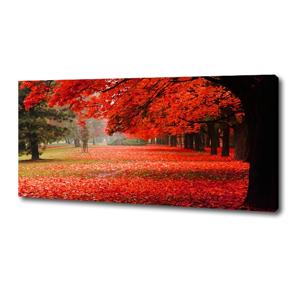 Canvas wall art Trees in autumn