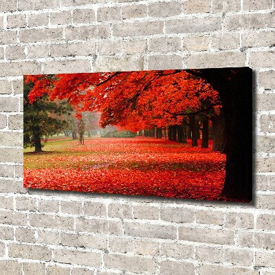 Canvas wall art Trees in autumn