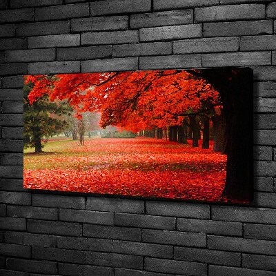 Canvas wall art Trees in autumn