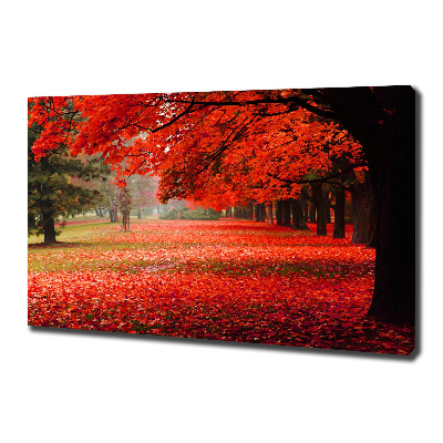 Canvas wall art Trees in autumn