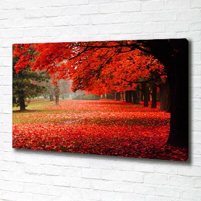 Canvas wall art Trees in autumn