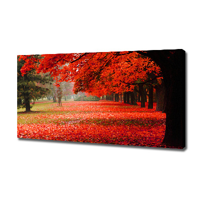 Canvas wall art Trees in autumn