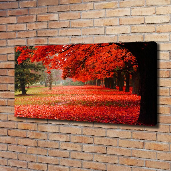 Canvas wall art Trees in autumn