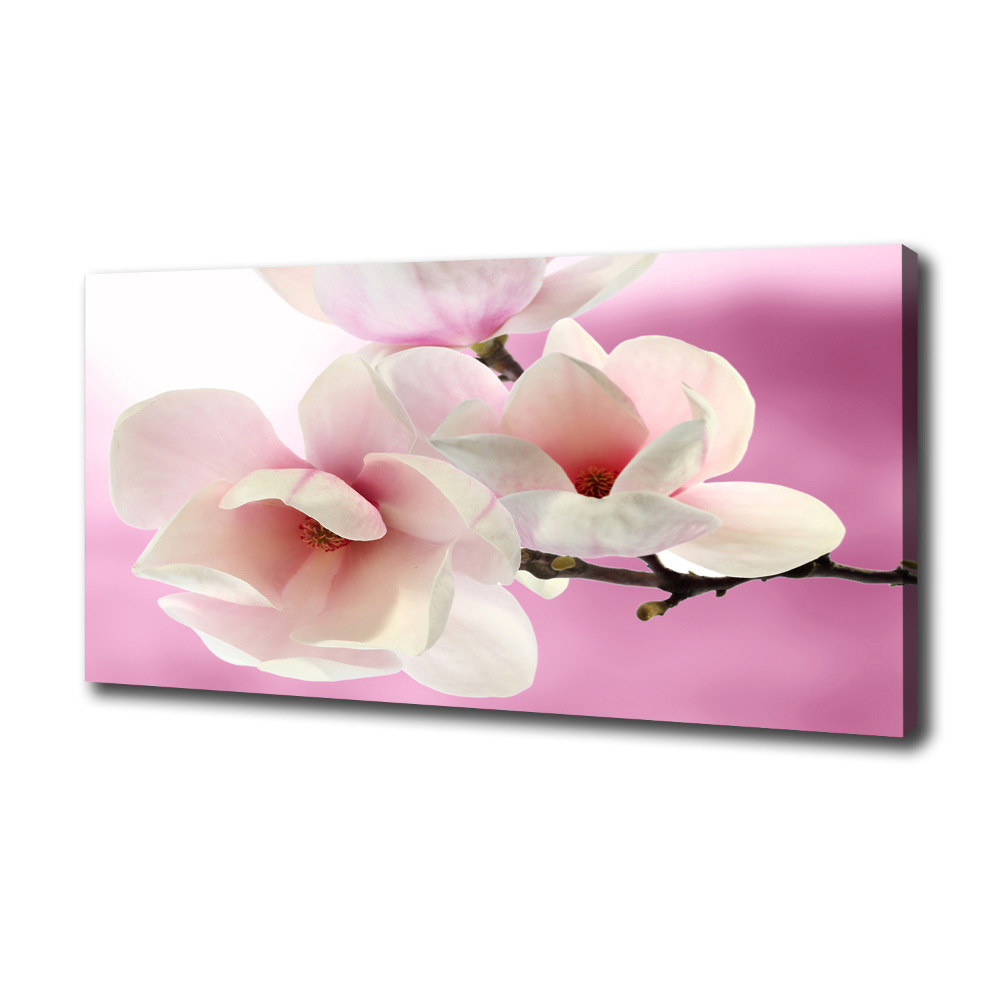 Canvas wall art Magnolia