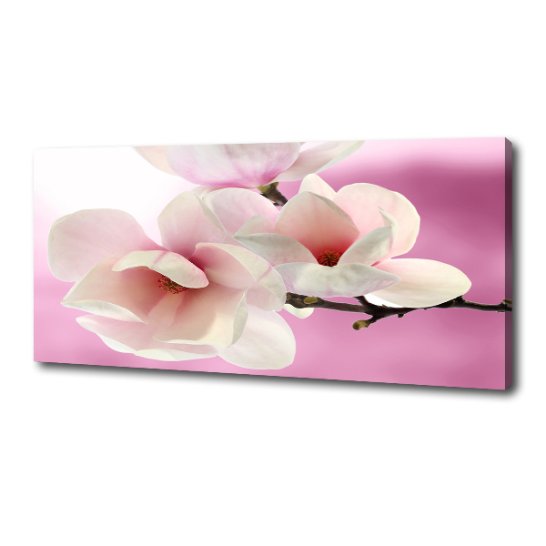 Canvas wall art Magnolia