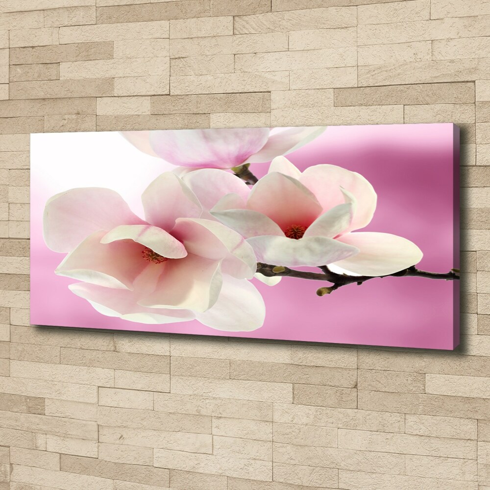 Canvas wall art Magnolia