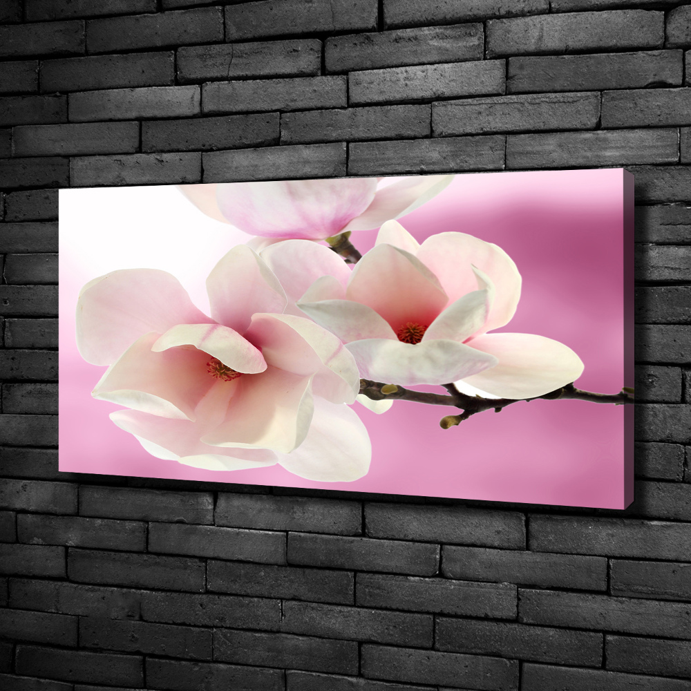 Canvas wall art Magnolia