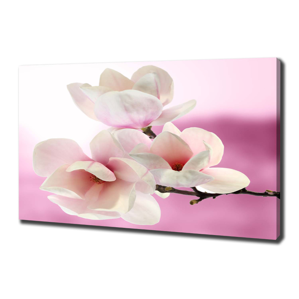 Canvas wall art Magnolia