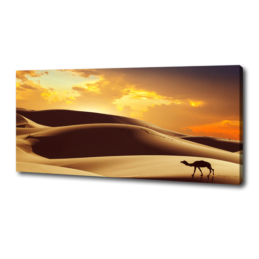 Canvas wall art Sahara camel