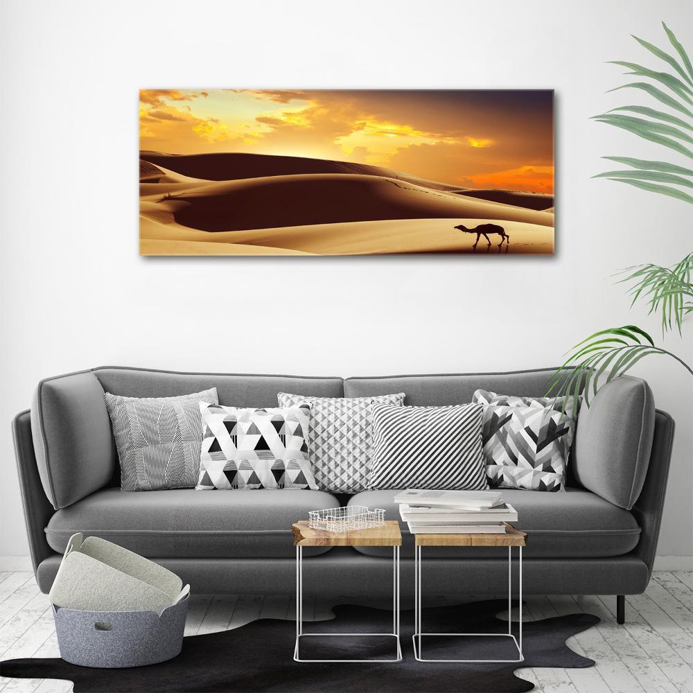 Canvas wall art Sahara camel