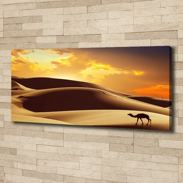 Canvas wall art Sahara camel