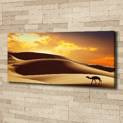 Canvas wall art Sahara camel