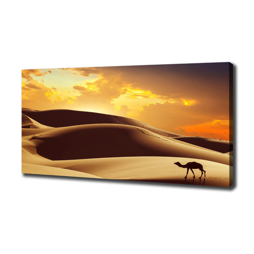 Canvas wall art Sahara camel