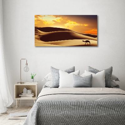 Canvas wall art Sahara camel