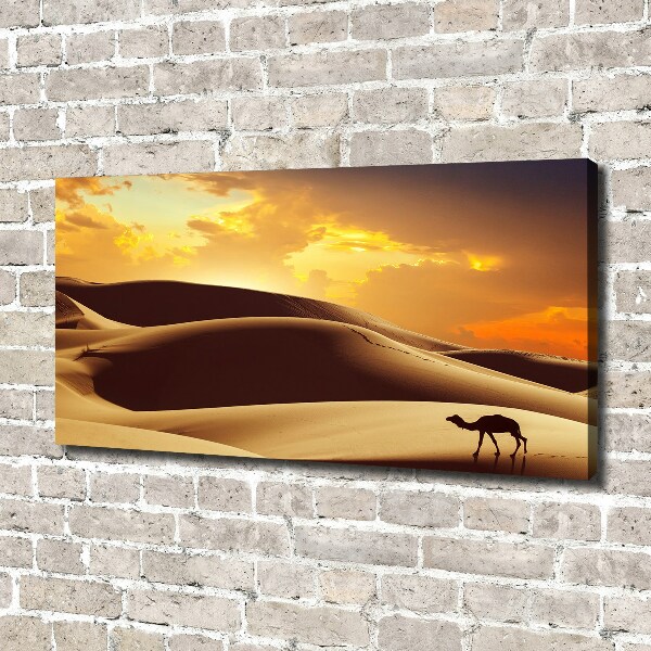 Canvas wall art Sahara camel