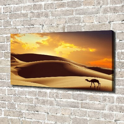 Canvas wall art Sahara camel