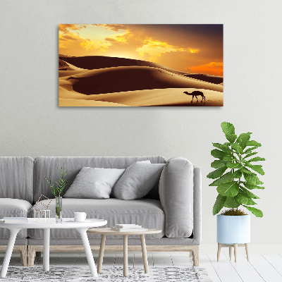 Canvas wall art Sahara camel