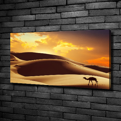 Canvas wall art Sahara camel