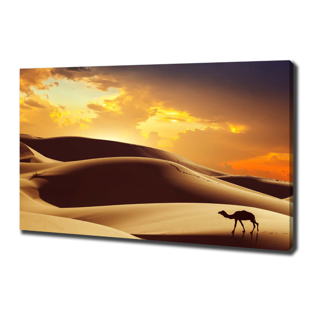 Canvas wall art Sahara camel