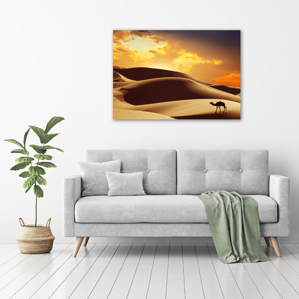 Canvas wall art Sahara camel