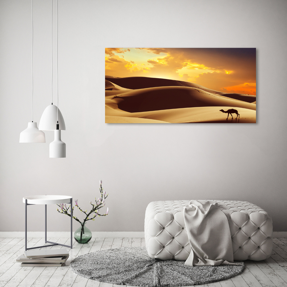 Canvas wall art Sahara camel