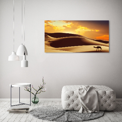 Canvas wall art Sahara camel