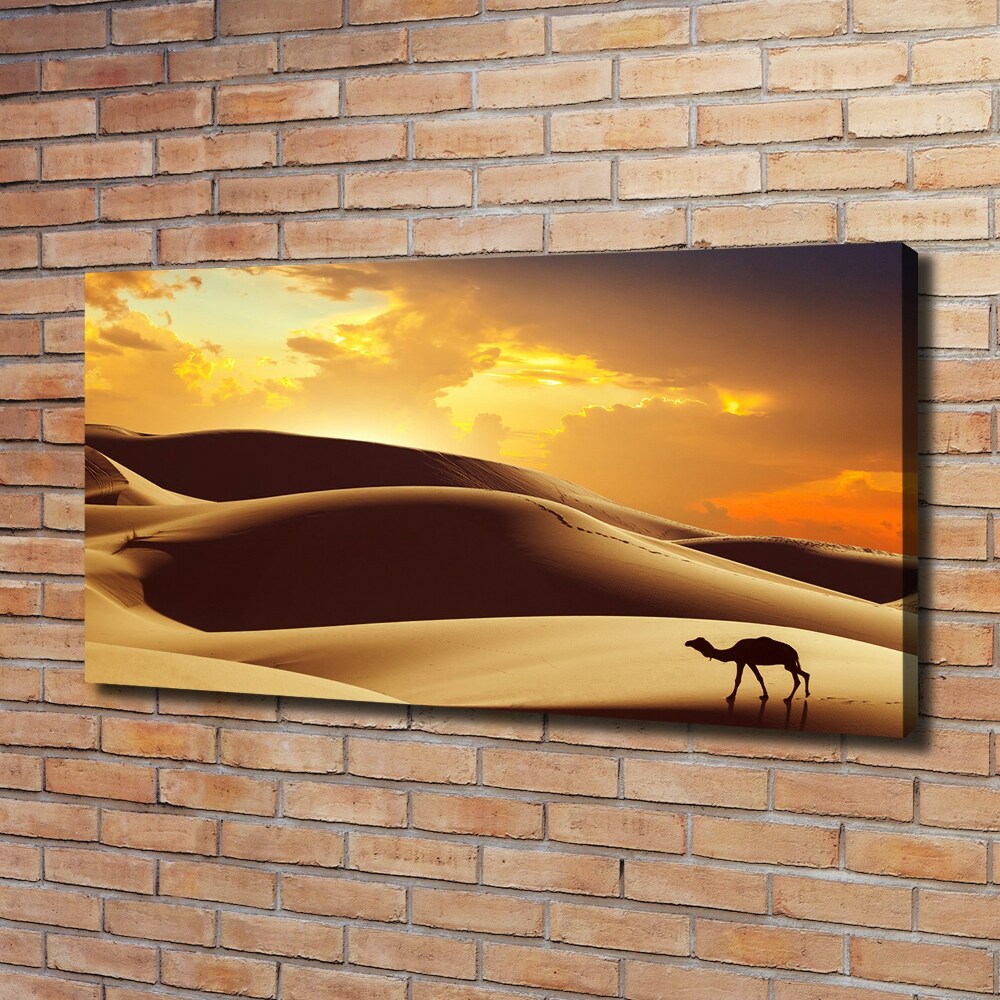 Canvas wall art Sahara camel