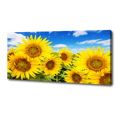 Canvas wall art Sunflowers