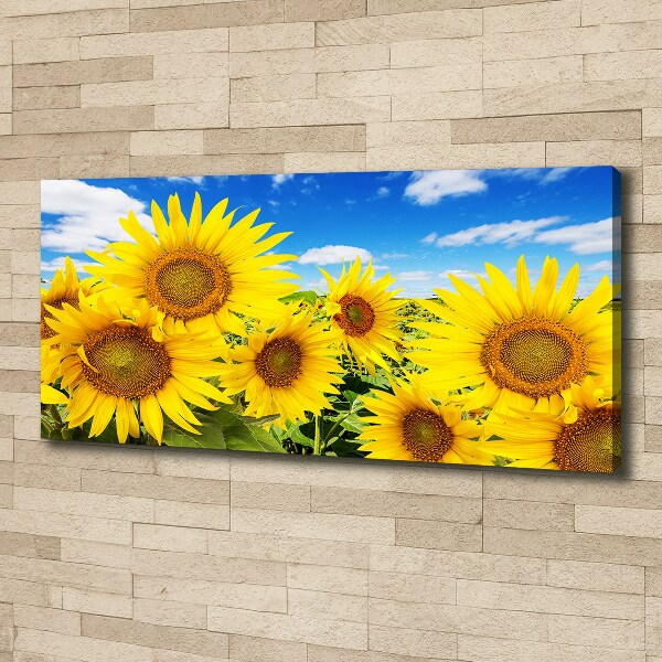 Canvas wall art Sunflowers