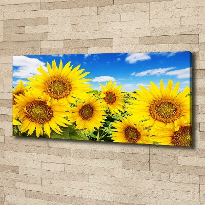 Canvas wall art Sunflowers