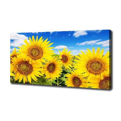 Canvas wall art Sunflowers