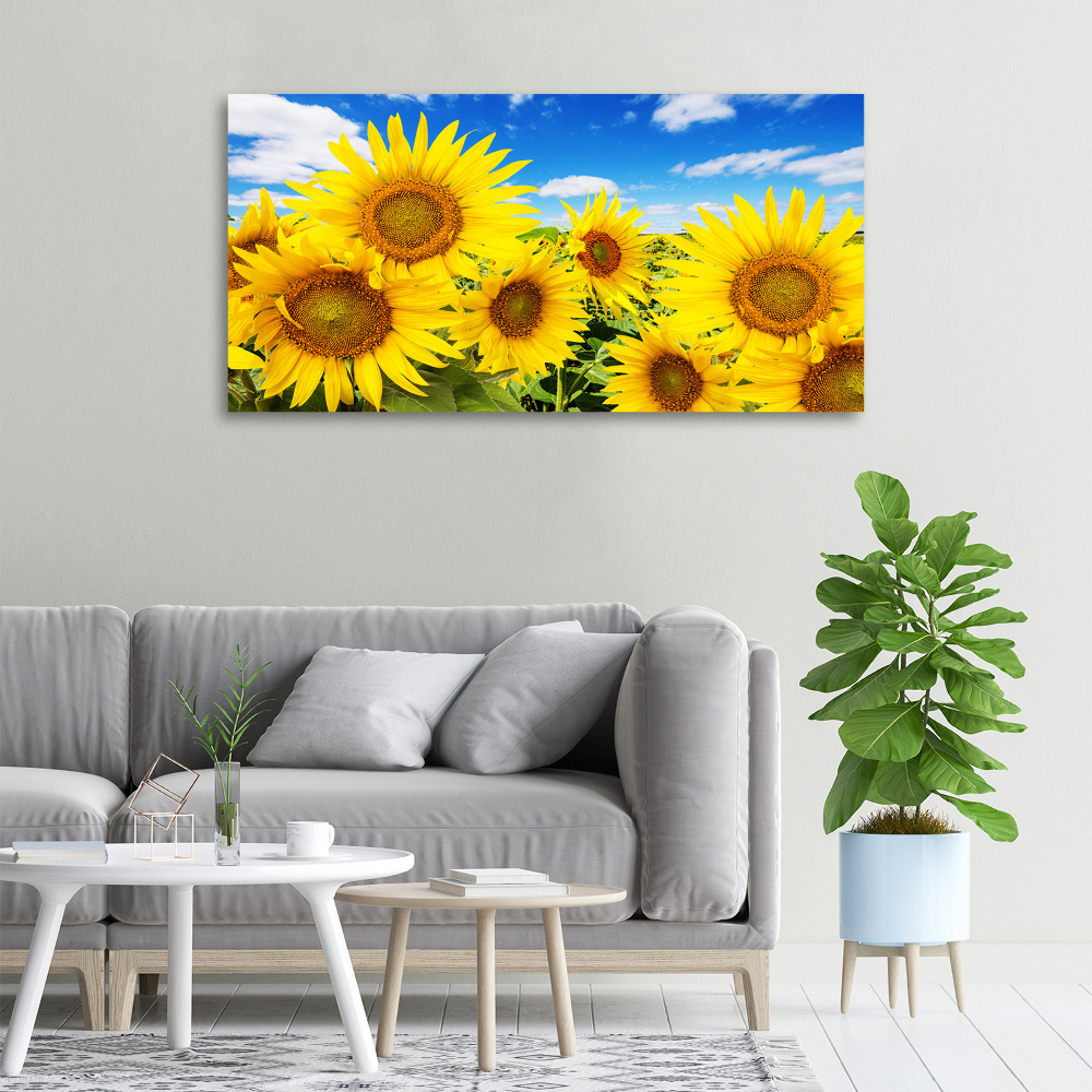 Canvas wall art Sunflowers