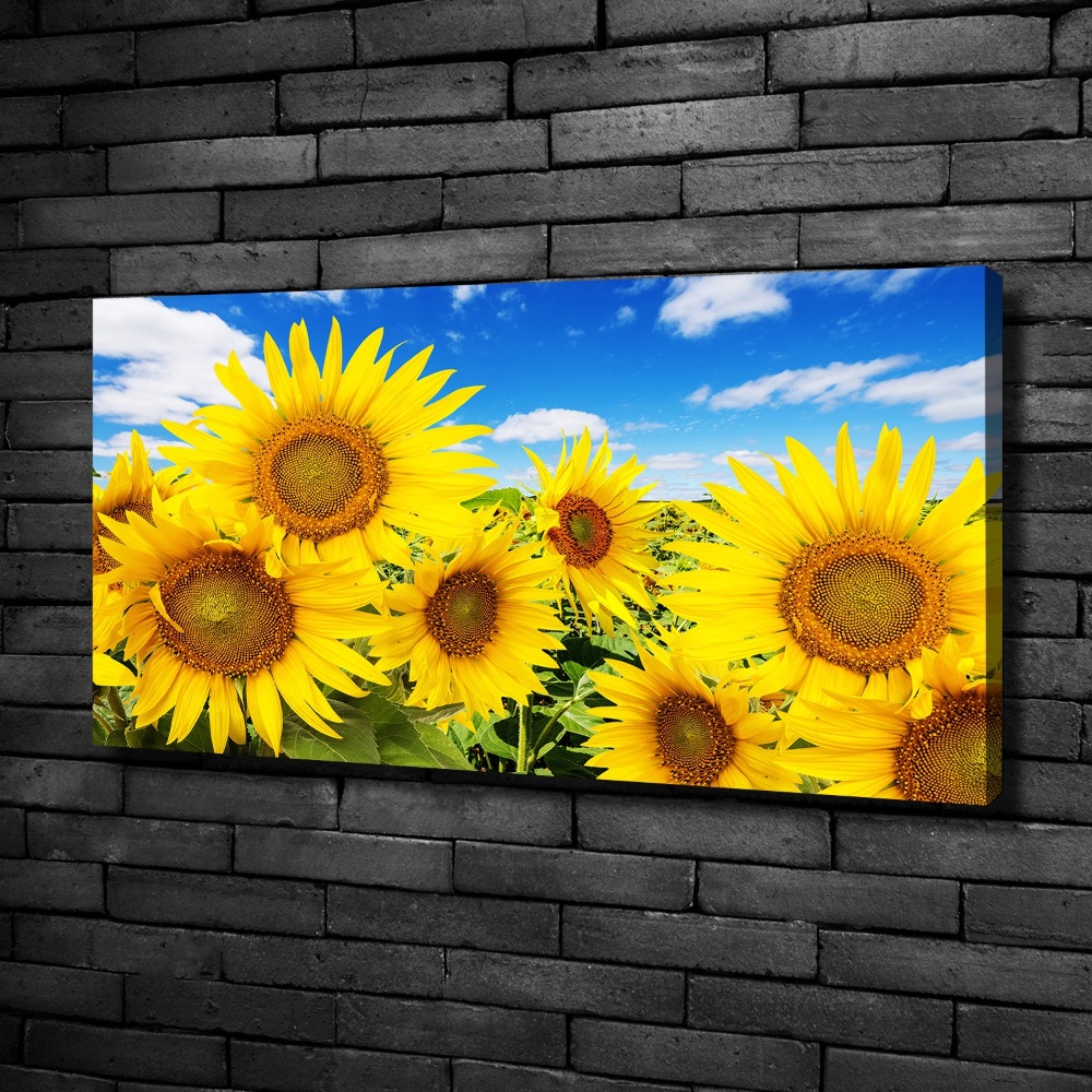 Canvas wall art Sunflowers