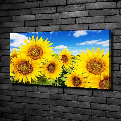 Canvas wall art Sunflowers