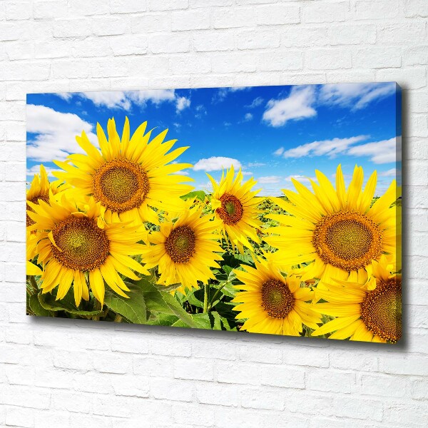 Canvas wall art Sunflowers