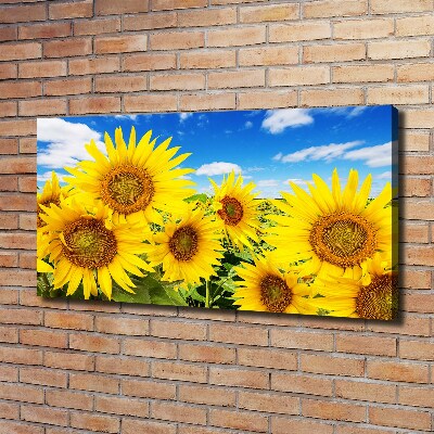 Canvas wall art Sunflowers