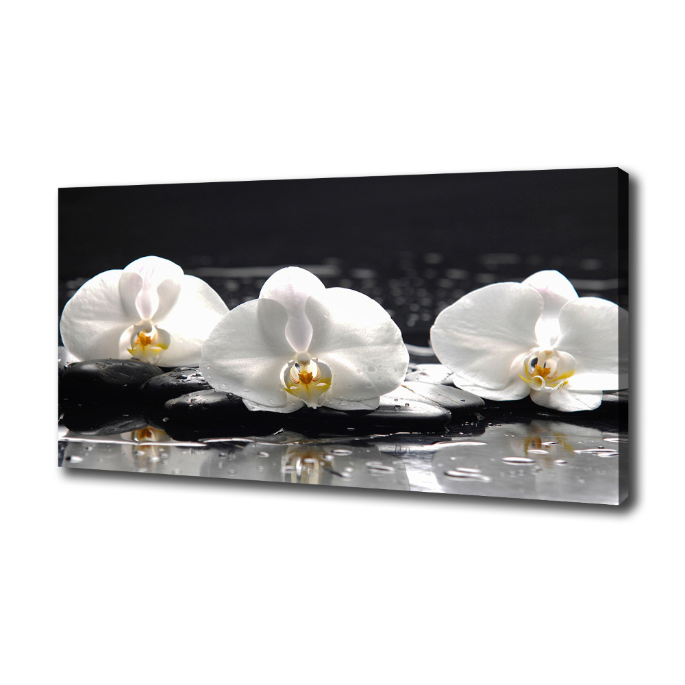 Canvas wall art Orchid