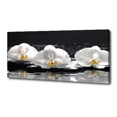 Canvas wall art Orchid