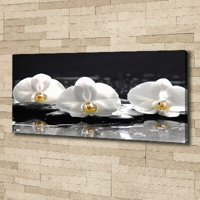 Canvas wall art Orchid