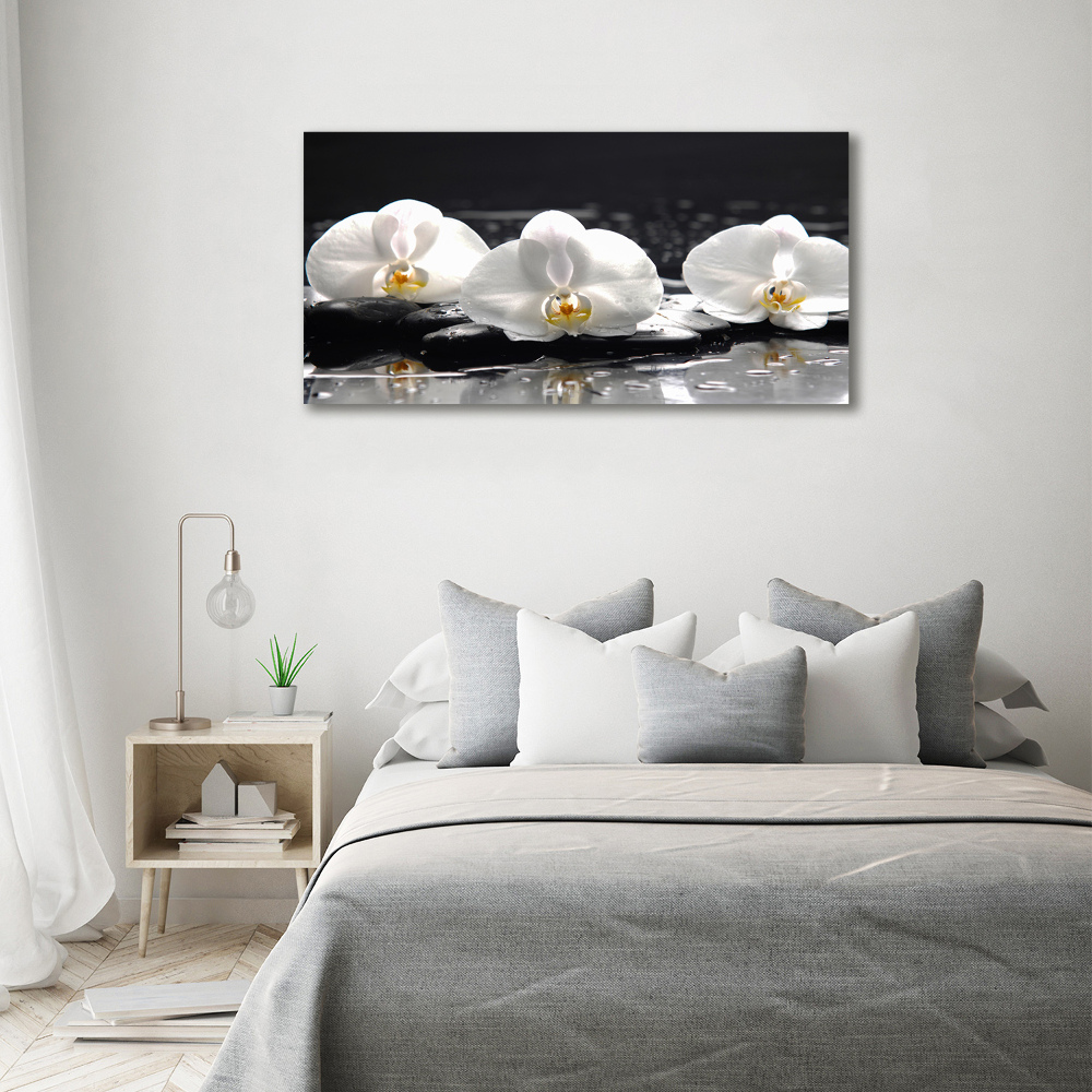 Canvas wall art Orchid