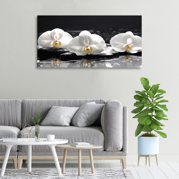 Canvas wall art Orchid