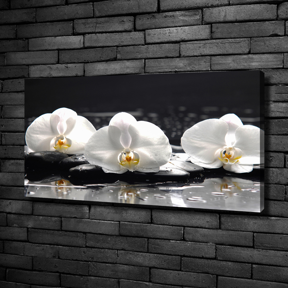 Canvas wall art Orchid