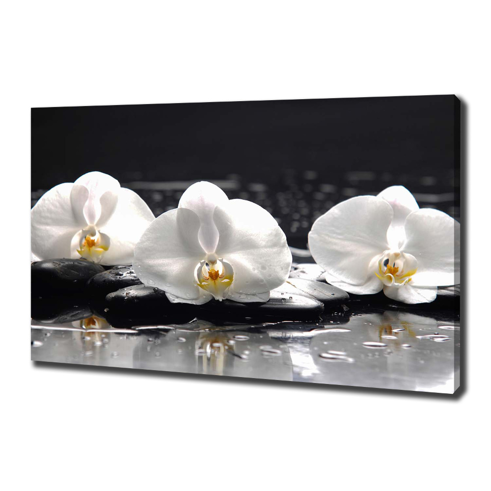 Canvas wall art Orchid