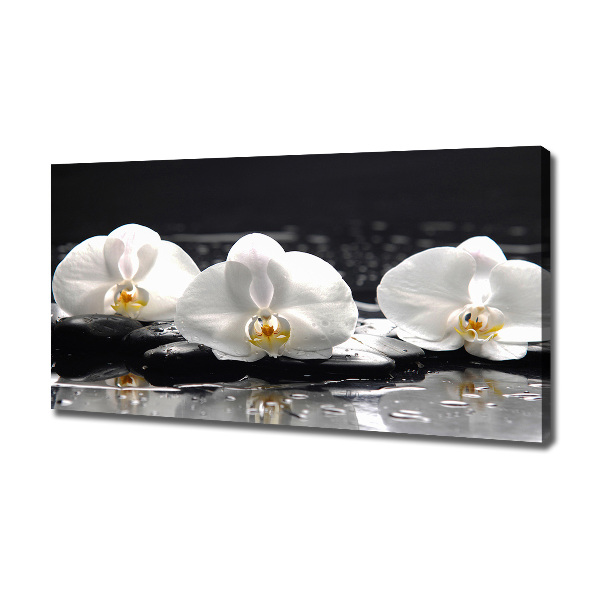 Canvas wall art Orchid