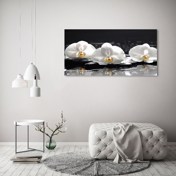 Canvas wall art Orchid