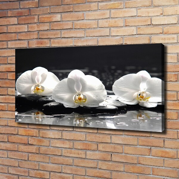 Canvas wall art Orchid