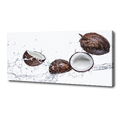 Canvas wall art Coconut with water