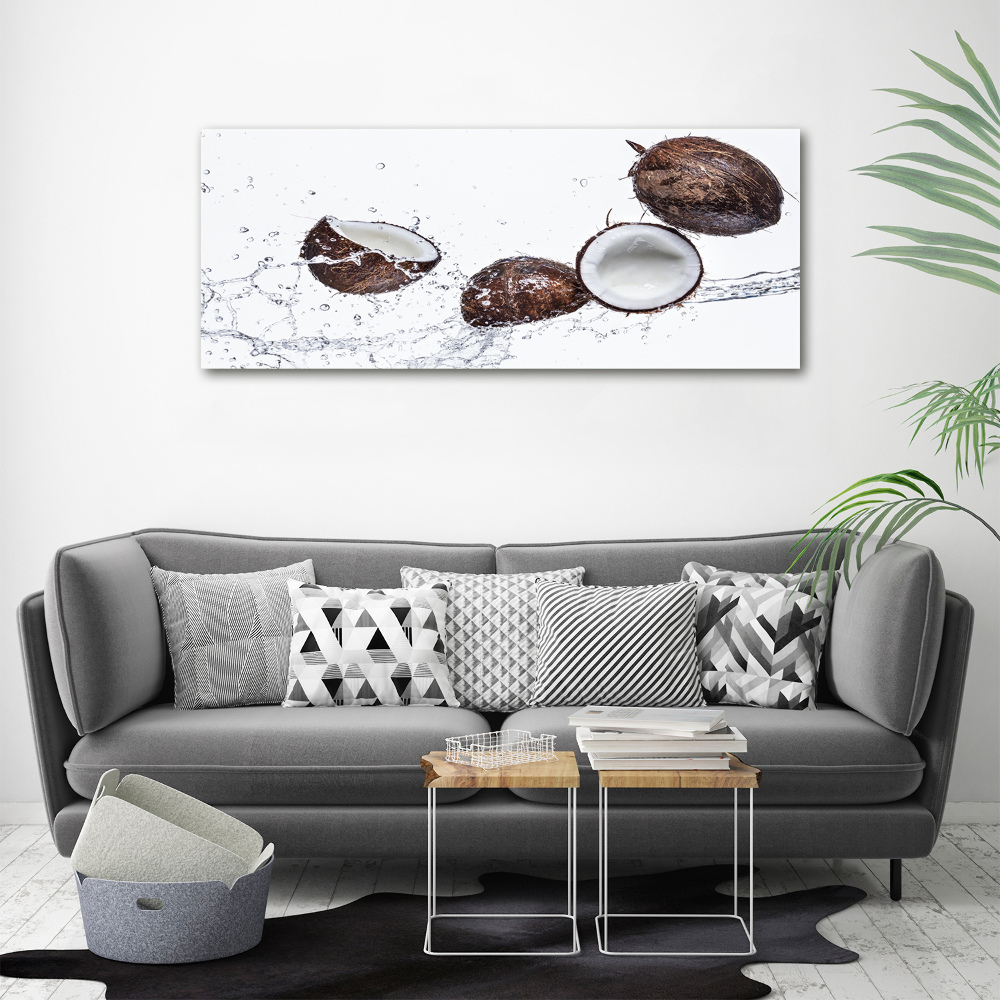 Canvas wall art Coconut with water