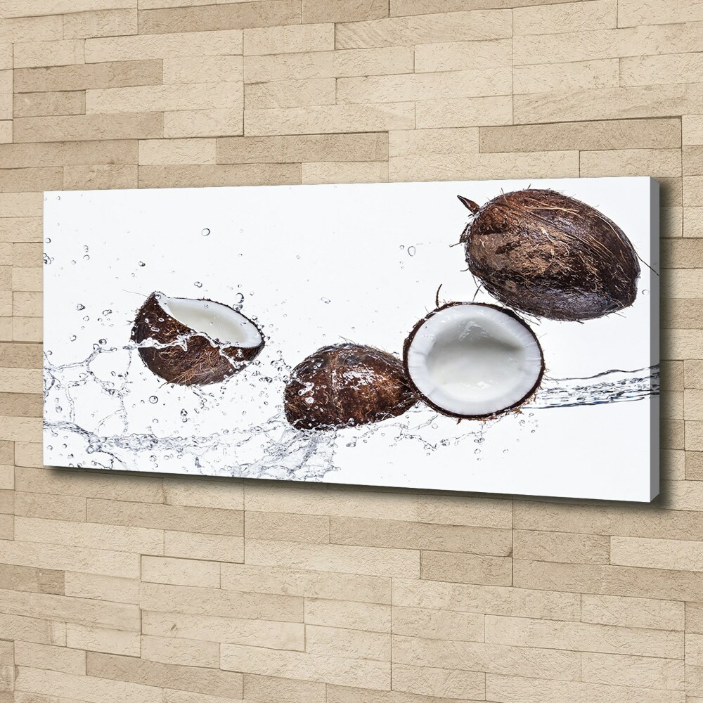 Canvas wall art Coconut with water