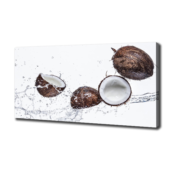 Canvas wall art Coconut with water